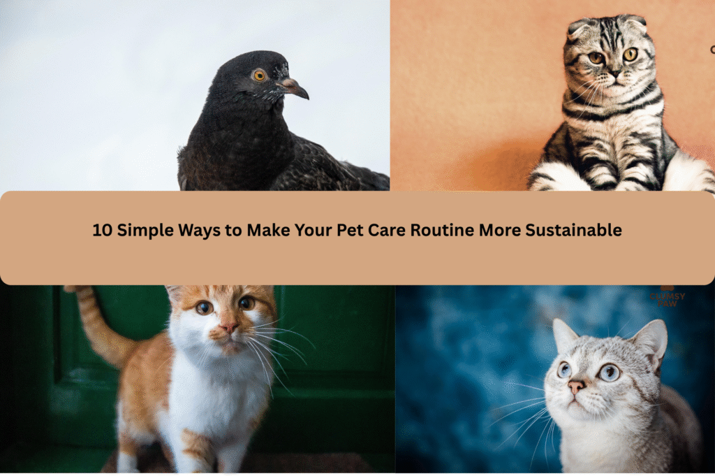 10 Simple Ways to Make Your Pet Care Routine More Sustainable