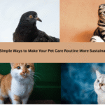 10 Simple Ways to Make Your Pet Care Routine More Sustainable