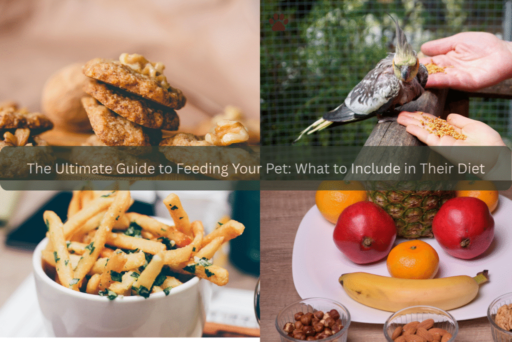 The Ultimate Guide to Feeding Your Pet: What to Include in Their Diet