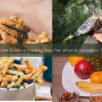 The Ultimate Guide to Feeding Your Pet: What to Include in Their Diet