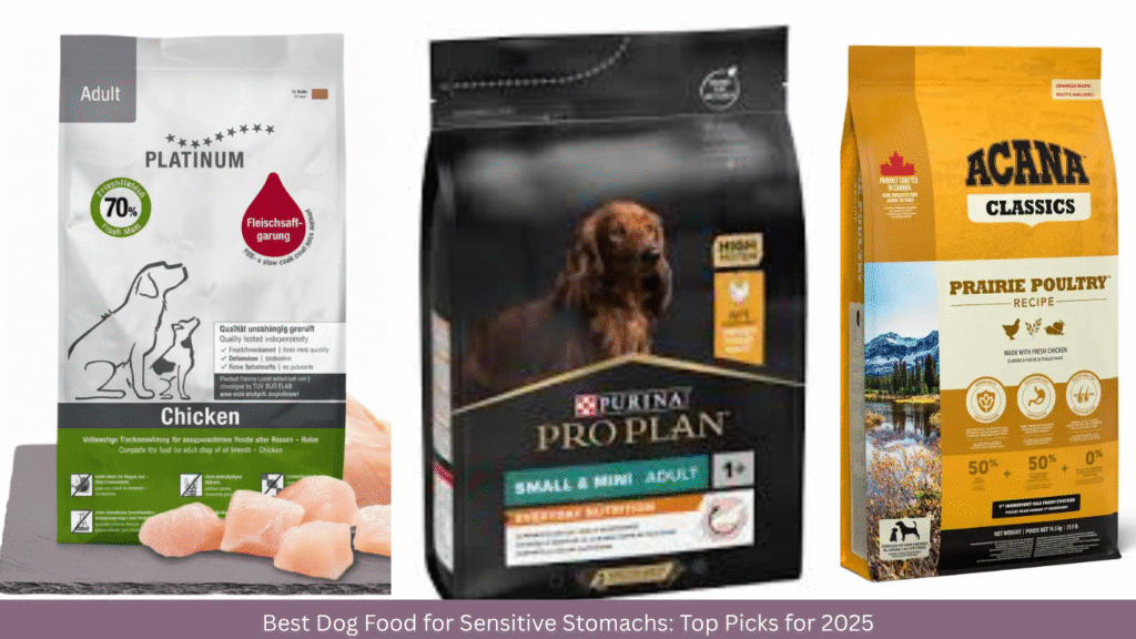 Best Dog Food for Sensitive Stomachs