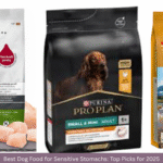 Best Dog Food for Sensitive Stomachs