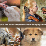 How to Adopt a Pet: Your Complete Guide to Bringing a New Friend Home