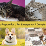 How to Prepare for a Pet Emergency: A Complete Guide