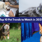 Top 10 Pet Trends to Watch in 2025