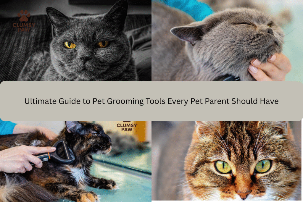 Ultimate Guide to Pet Grooming Tools Every Pet Parent Should Have