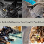 Ultimate Guide to Pet Grooming Tools Every Pet Parent Should Have