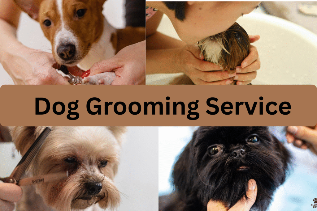 Dog Grooming Service