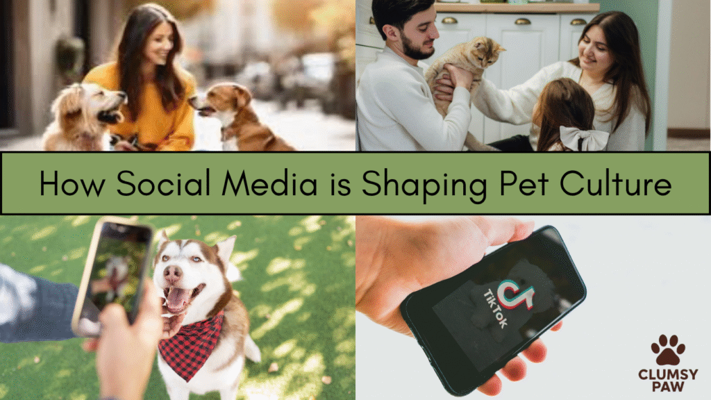 How Social Media is Shaping Pet Culture