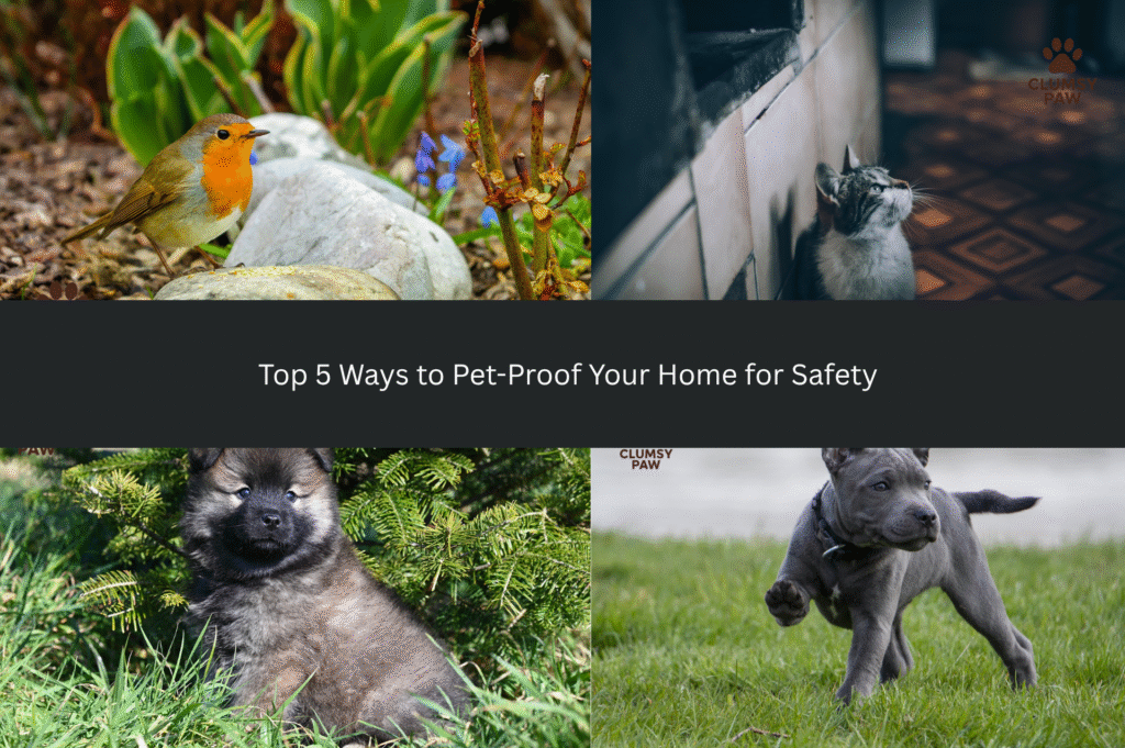 Top 5 Ways to Pet Proof Your Home for Safety
