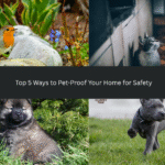 Top 5 Ways to Pet Proof Your Home for Safety
