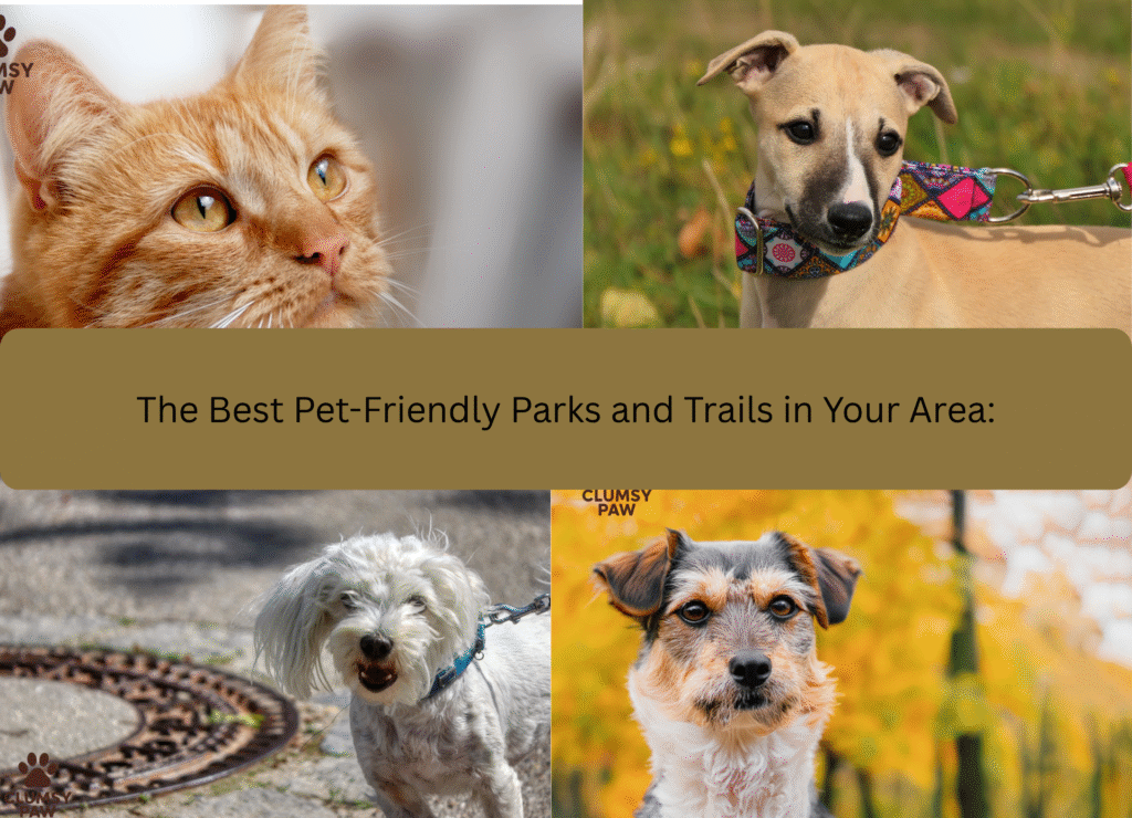Best Pet-Friendly Parks