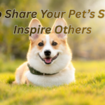 How to Share Your Pet’s Story to Inspire Others