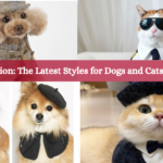 The Latest Styles for Dogs and Cats