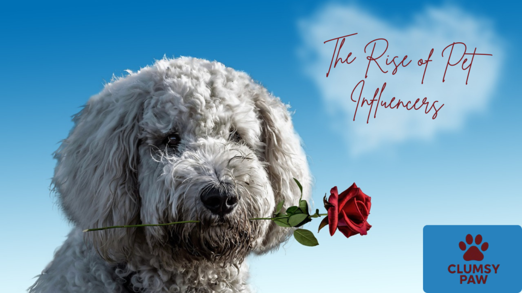 The Rise of Pet Influencers: A Growing Trend in 2025