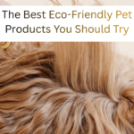 Best Eco Friendly Pet Products