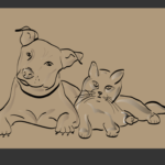 How to Choose the Right Pet Trainer for Your Dog or Cat