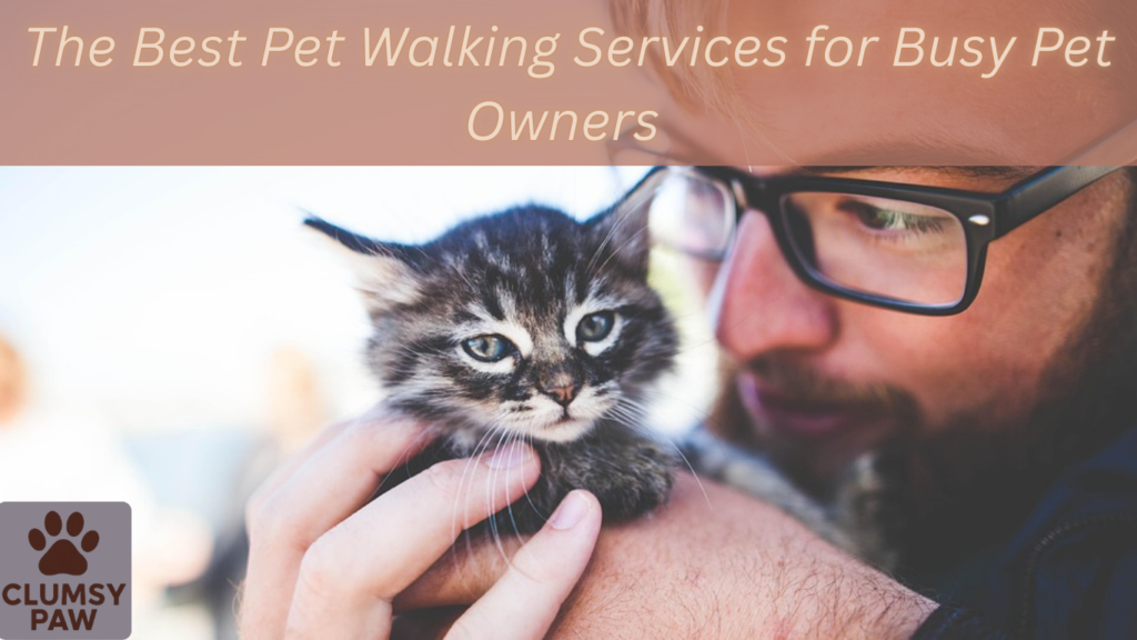 The Best Pet Walking Services for Busy Pet Owners (Complete Guide)