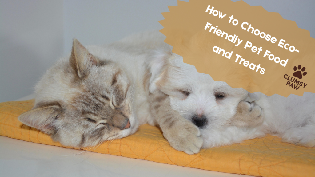 How to Choose Eco-Friendly Pet Food and Treats