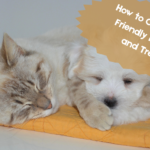 How to Choose Eco-Friendly Pet Food and Treats