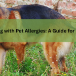 Dealing with Pet Allergies: A Guide for Owners
