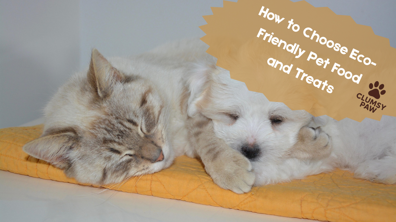 How to Choose Eco-Friendly Pet Food and Treats