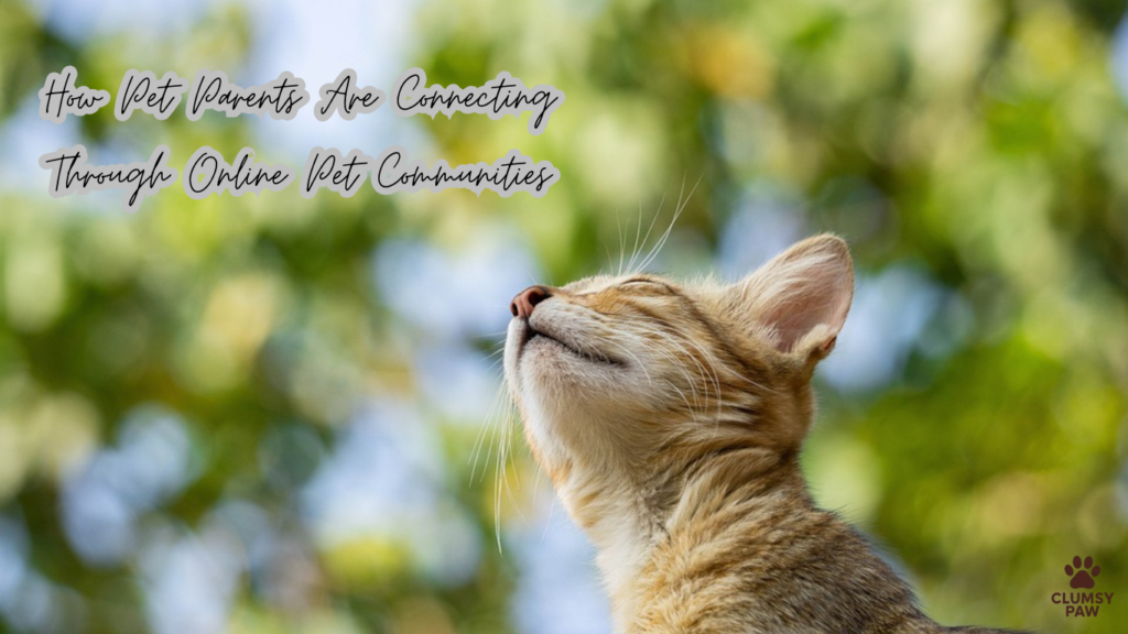 How Pet Parents Are Connecting Through Online Pet Communities