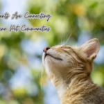 How Pet Parents Are Connecting Through Online Pet Communities