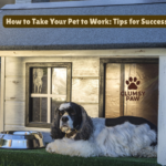 How to Take Your Pet to Work: Tips for Success