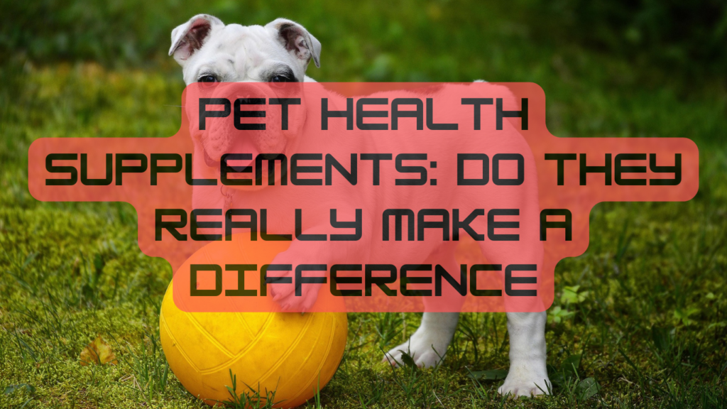 Pet Health Supplements: Do They Really Make a Difference