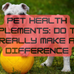 Pet Health Supplements: Do They Really Make a Difference