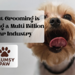 pet grooming Why Pet Grooming is Becoming a Multi Billion Dollar Industry