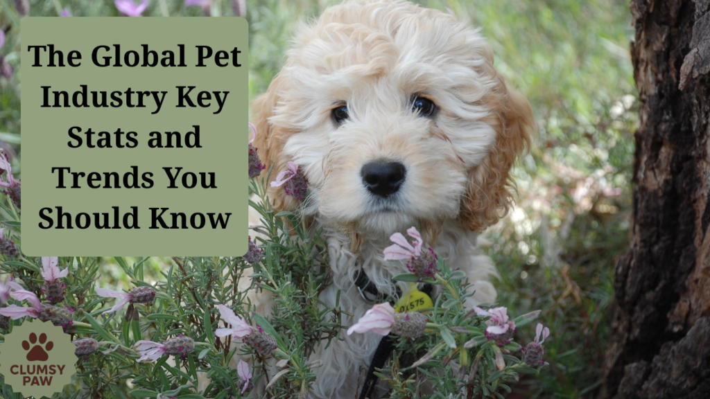 pet trends Galobal pet industry The Global Pet Industry Key Stats and Trends You Should Know