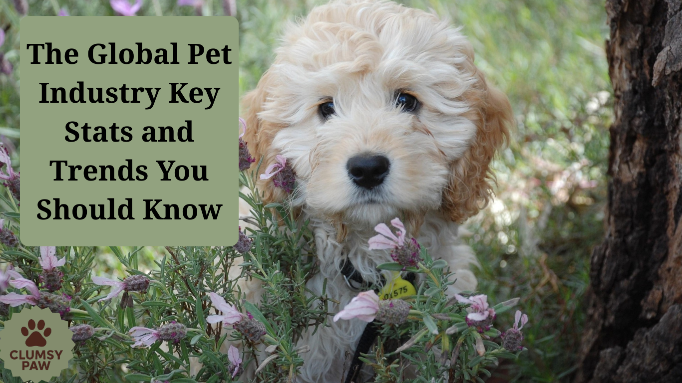 pet trends Galobal pet industry The Global Pet Industry Key Stats and Trends You Should Know