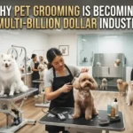 Why Pet Grooming is Becoming a Multi Billion Dollar Industry