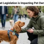 How New Pet Legislation is Impacting Pet Owners