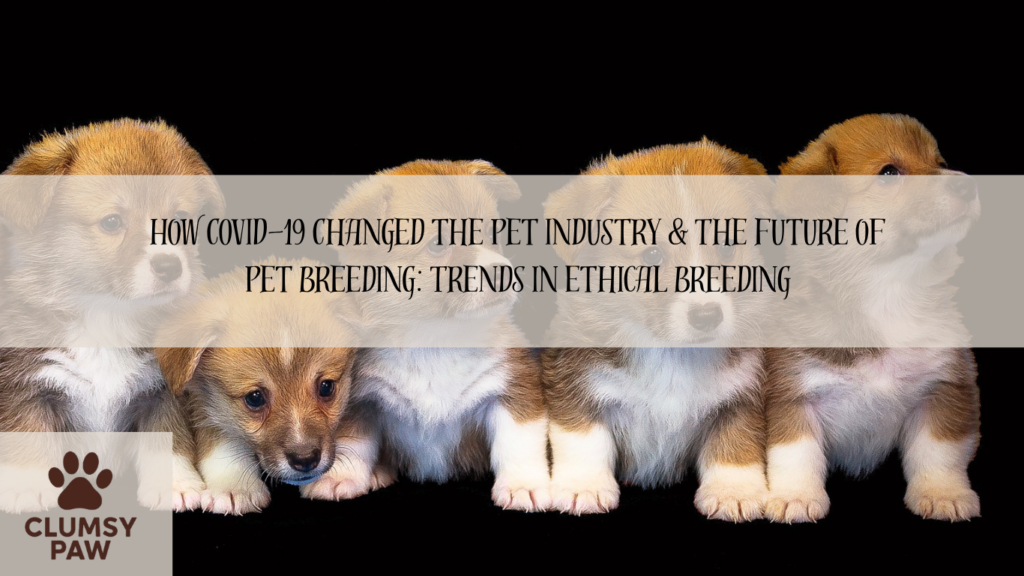 How COVID-19 Changed the Pet Industry & The Future of Pet Breeding: Trends in Ethical Breeding