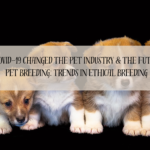 How COVID-19 Changed the Pet Industry & The Future of Pet Breeding: Trends in Ethical Breeding