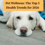 Pet Wellness: The Top 5 Health Trends for 2026