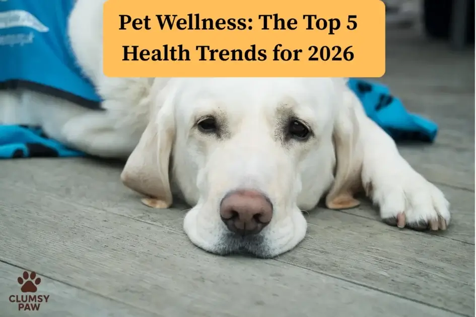 Pet Wellness: The Top 5 Health Trends for 2026