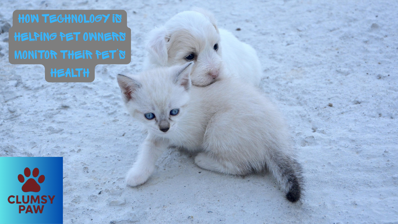 How Technology is Helping Pet Owners Monitor Their Pet’s Health