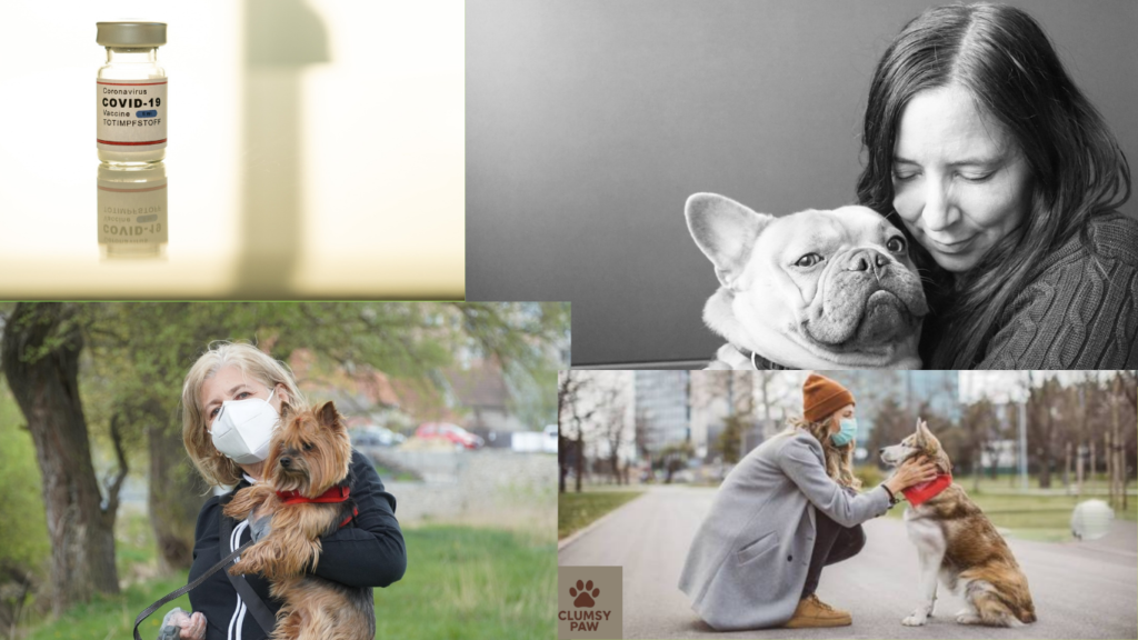 How COVID-19 Changed Why More Pet Owners Are Going Vegan for Their Pets