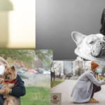 How COVID-19 Changed Why More Pet Owners Are Going Vegan for Their Pets