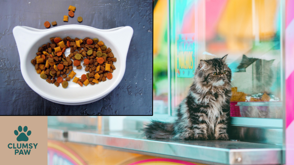 How Pet Food Trends Are Shaping the Market in 2026