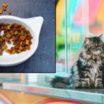 How Pet Food Trends Are Shaping the Market in 2026