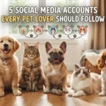5 Social Media Accounts Every Pet Lover Should Follow