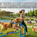 The Most Popular Pet Activities in 2026