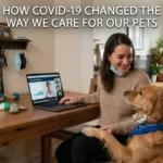 How COVID-19 Changed the Way We Care for Our Pets