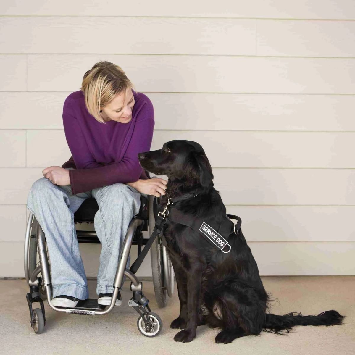 Pet Therapy and Emotional Support