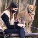 How to Find Reliable Pet Sitters